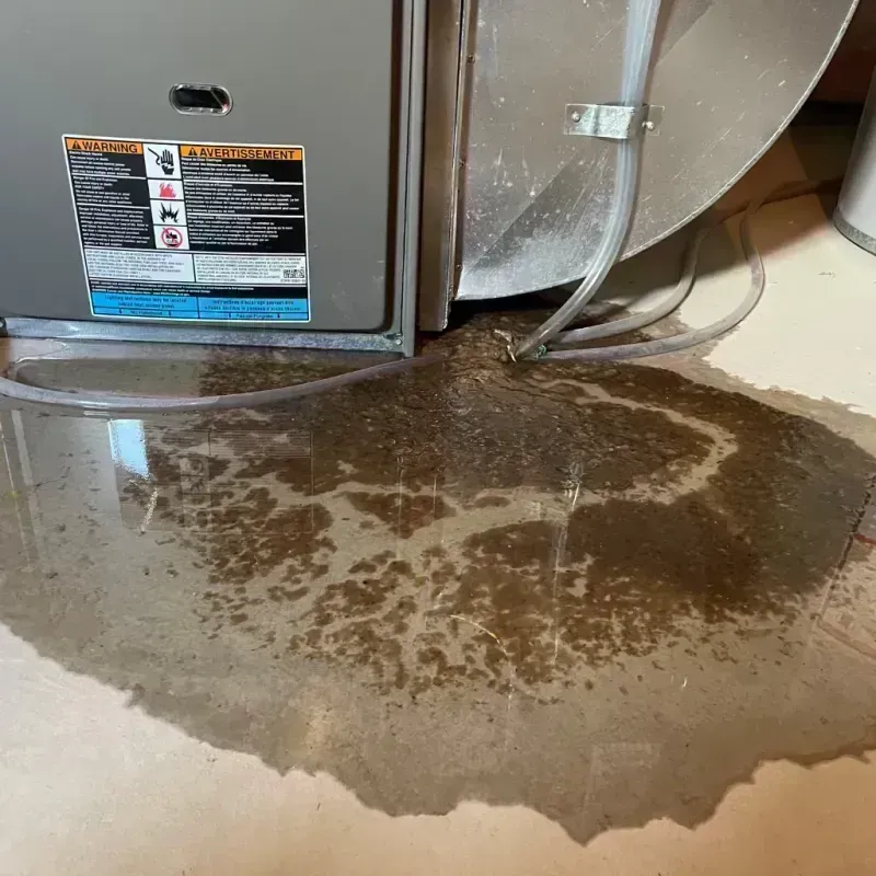 Appliance Leak Cleanup in Portage Park, IL